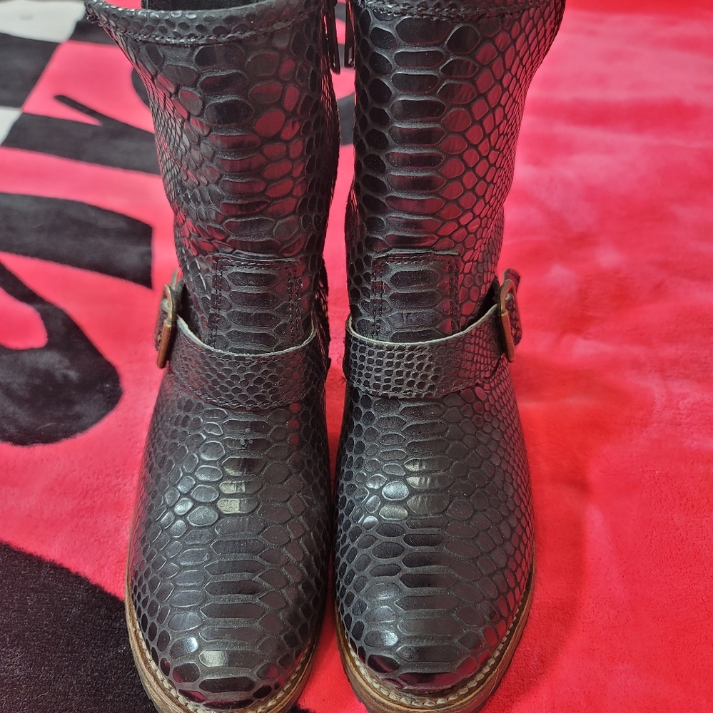 !!!SOLD!!!Freebird by Steven Carlito 8